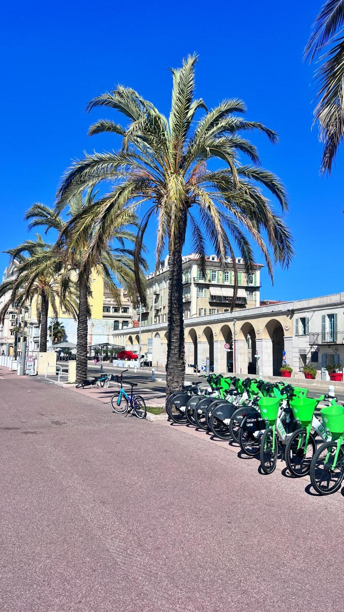 شقة L'Azur Plaisance نيس المظهر الخارجي الصورة